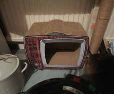 cat scratcher TV shape