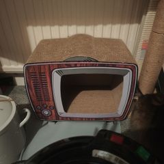 cat scratcher TV shape