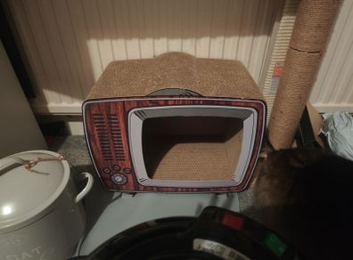 cat scratcher TV shape