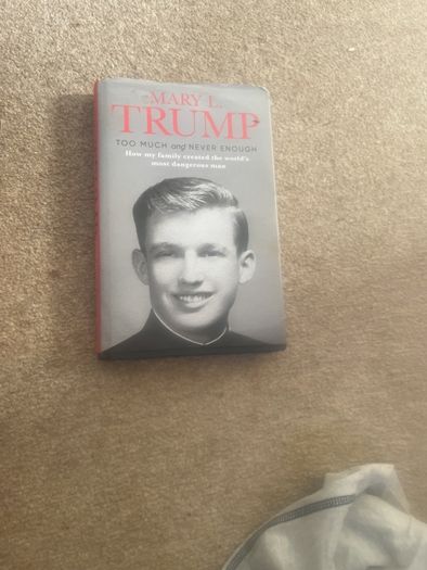 Mary L Trump Too  Much andNever  Enough