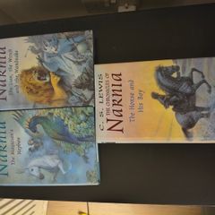 The Chronicles of Narnia books by CS Lewis