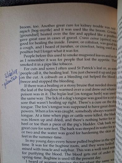 Charles McGlinchey / The Last of the Name / 1st edition/ 1986