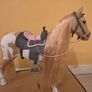 Horse our Generation Image 10
