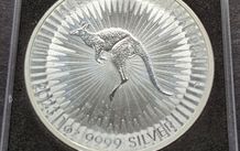 1 oz silver KANGAROO 2023 1 Dollar coin in Square capsule.