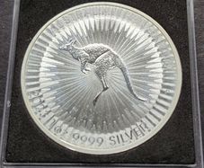 1 oz silver KANGAROO 2023 1 Dollar coin in Square capsule.