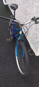 adult bike