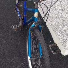 adult bike