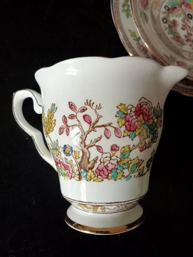 Royal Stafford Bone China "Indian Tree" Tea Set