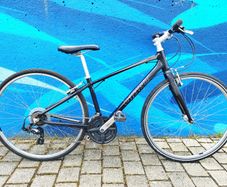 Giant Escape Hybrid Bike