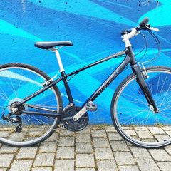 Giant Escape Hybrid Bike