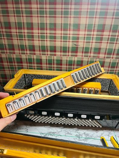 piano accordion Delicia Cassotto 2+2 LMMH