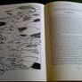 By Shannon shores History of River Shannon. Image 7