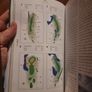 The Strokesaver Guide to the Classic Courses of Great Britain and Ireland (Paperback) Image 8
