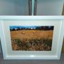 Ballyannan, Midleton Image 7