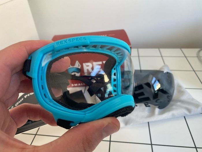 Rex Specs V2 Dog Goggles Blue Small with Two Lenses