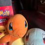 Pokemon teddies & encyclopaedia Image 3