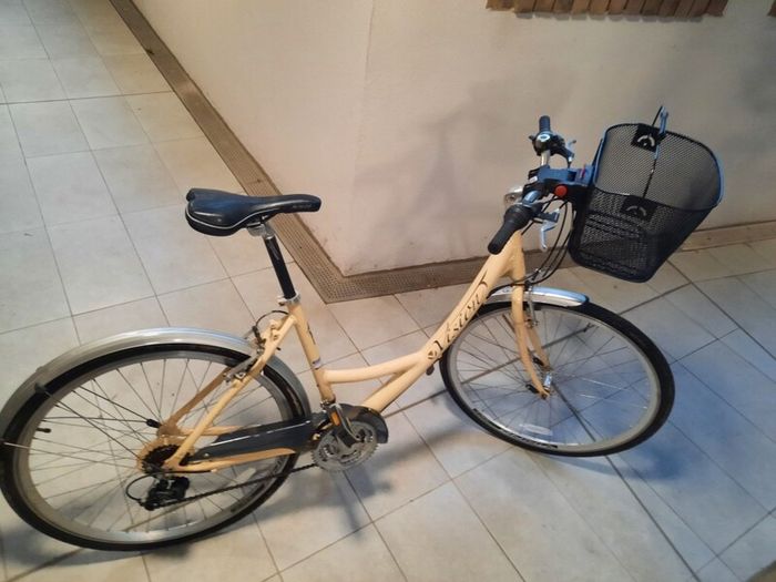 ladies bike ( can deliver)