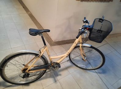 ladies bike ( can deliver)