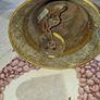 Beautiful Antique Brass Bell, Postage Available or Collection, Lots more Coins, Notes, Antiques and Collectables including Oil Lamps in my other ads Image 4
