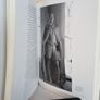 The Irish Country House: A Social History by Peter Somerville-Large (PT129) Image 5