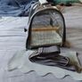 New Transparent Bird Carrier (Breathable Travel Bag for Parrots & Small Pets) Image 2