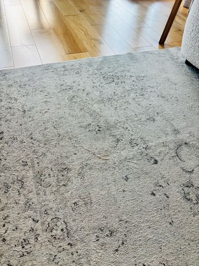 Zara Home Rug