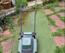 lawnmover