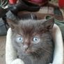 Adoption Image 2