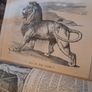 Antique Punch Volumes 81-84 Image 8