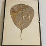 job lot of 4 framed pictures see images Image 2