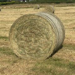 Quality Hay