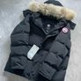 canada goose Image 2