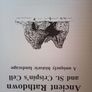 Ancient Rathdown and Saint Crispin's. Cell Image 10