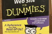 building a website for dummies - book