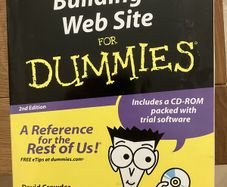 building a website for dummies - book