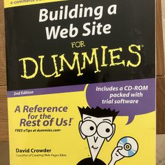 building a website for dummies - book