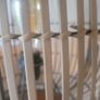 Rattan and Iron Table Lamp Image 6