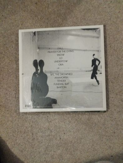 Lisa Hannigan At Swim lp