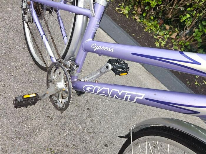 Giant Bike