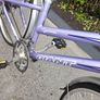 Giant Bike Image 2