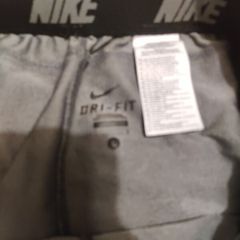 Nike Dri-Fit Shorts (large)
