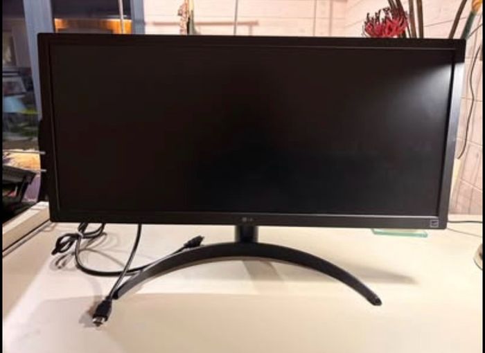 LG 26in UltraWide Monitor