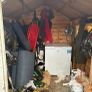 Free Garden Shed Image 4