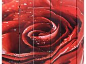 Folding Room Divider 228x170 cm Rose Red