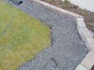 landscaping Image 7