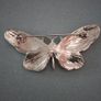 butterfly broach Image 2