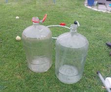 2 x 5 Gal Glass Carboy