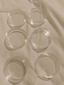 Coin Capsules Queens Beasts Genuine