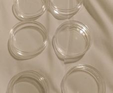 Coin Capsules Queens Beasts Genuine