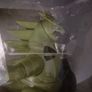 Pokemon Select Tyranitar Figure Image 2